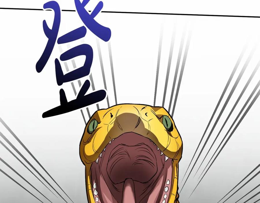 第223页