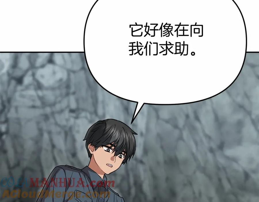 第229页