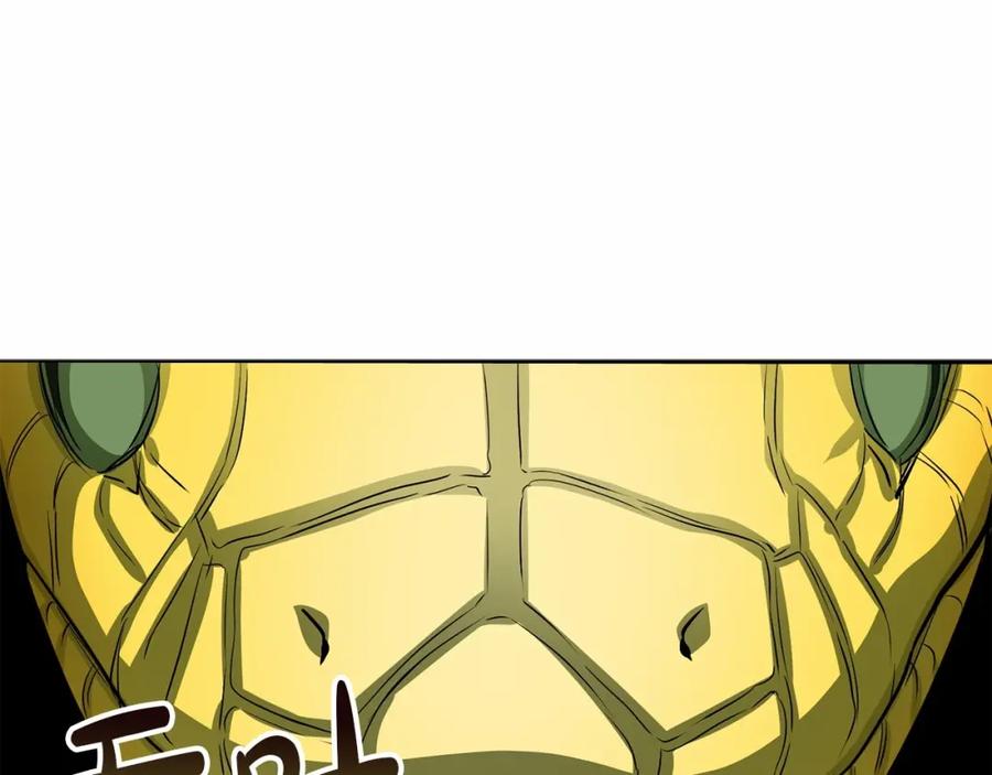 第294页