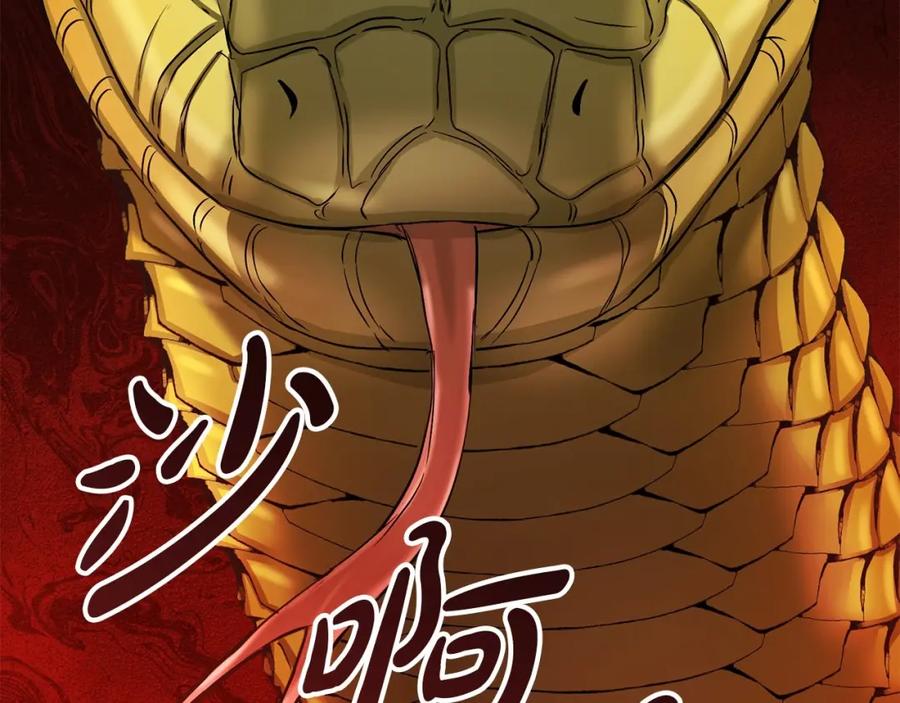第300页