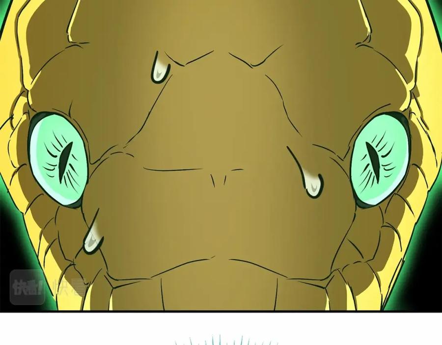 第206页