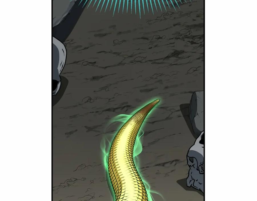 第210页