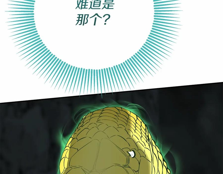 第218页