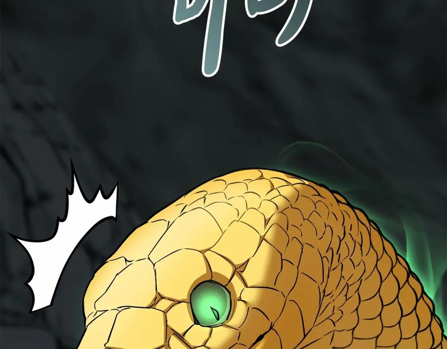 第251页