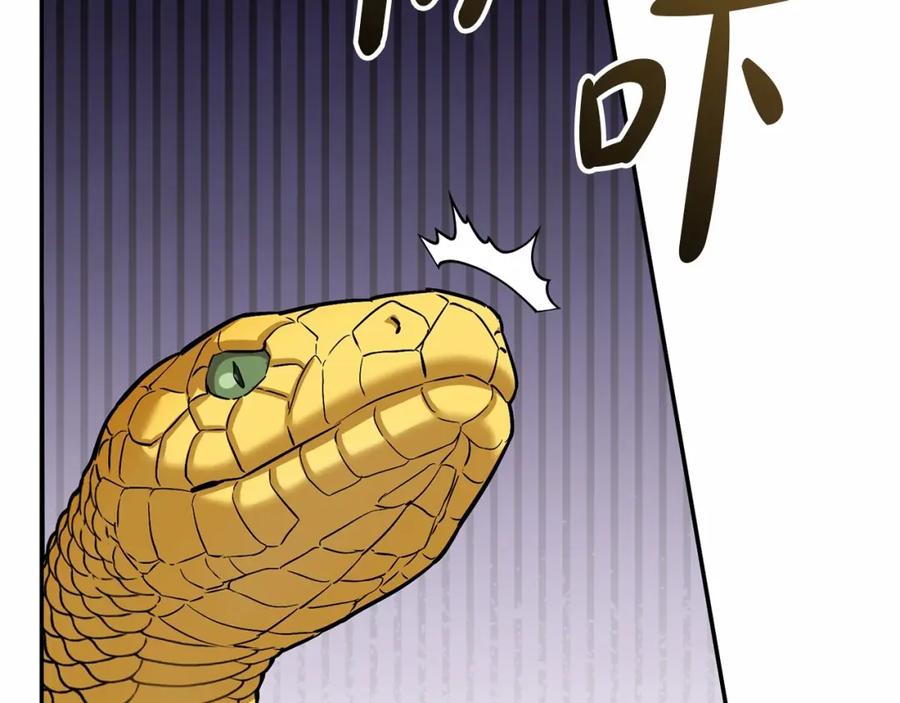 第268页