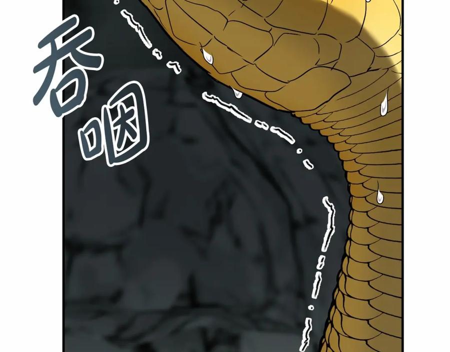 第294页