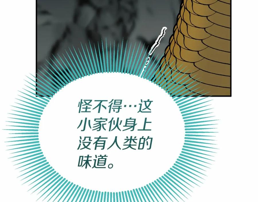 第295页