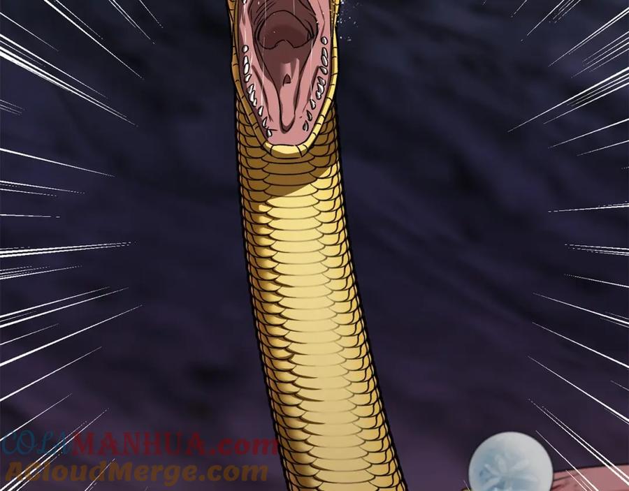 第305页