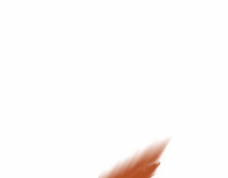 第214页