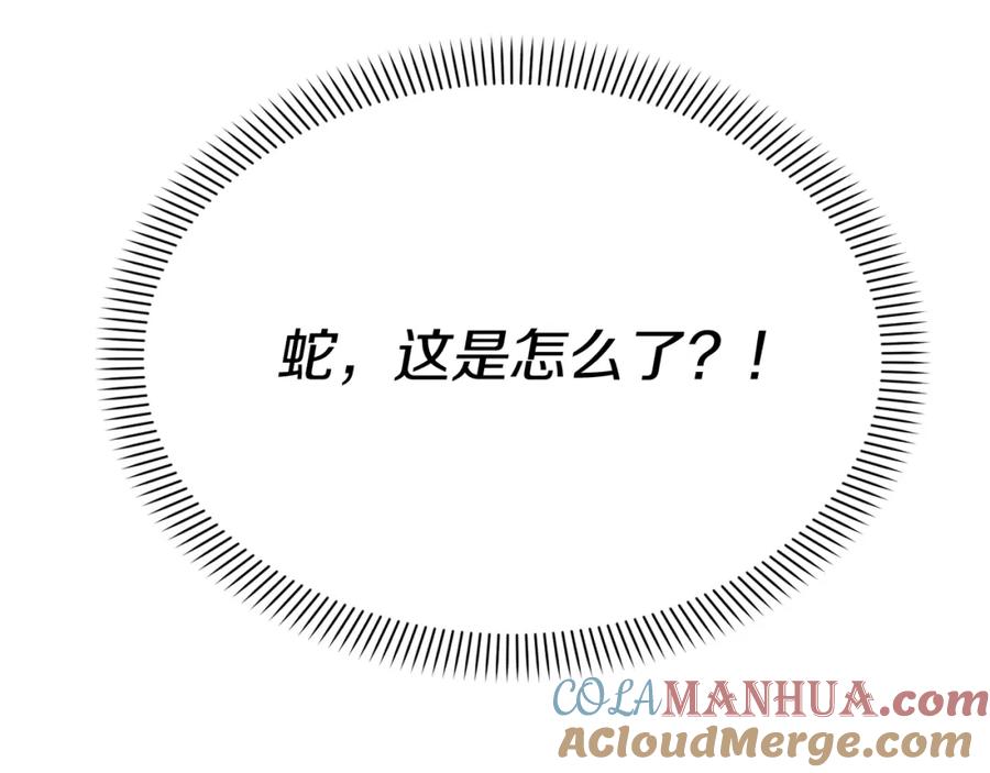 第245页