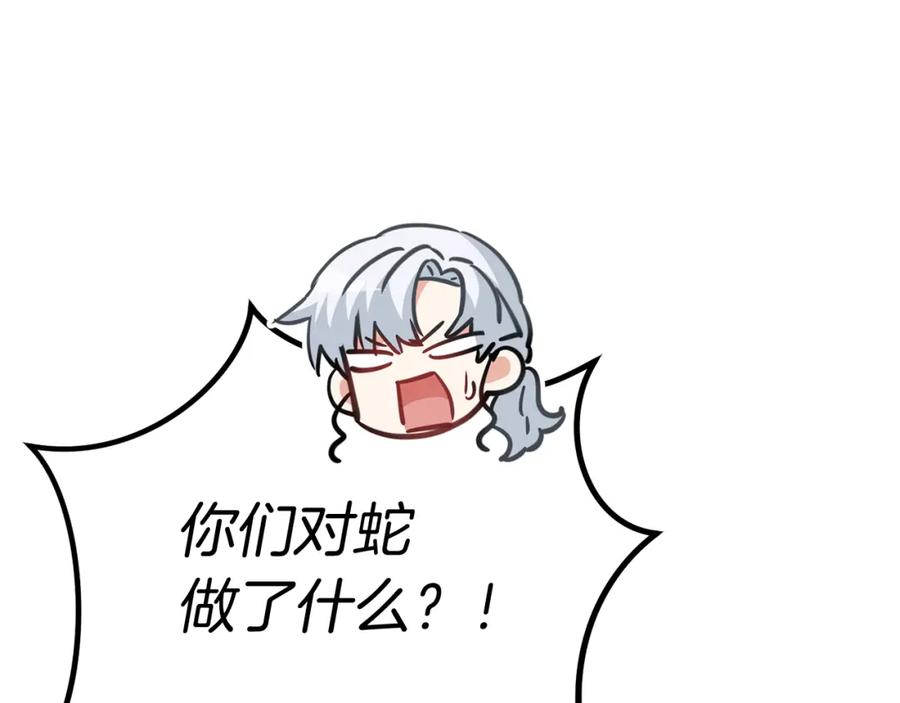 第247页