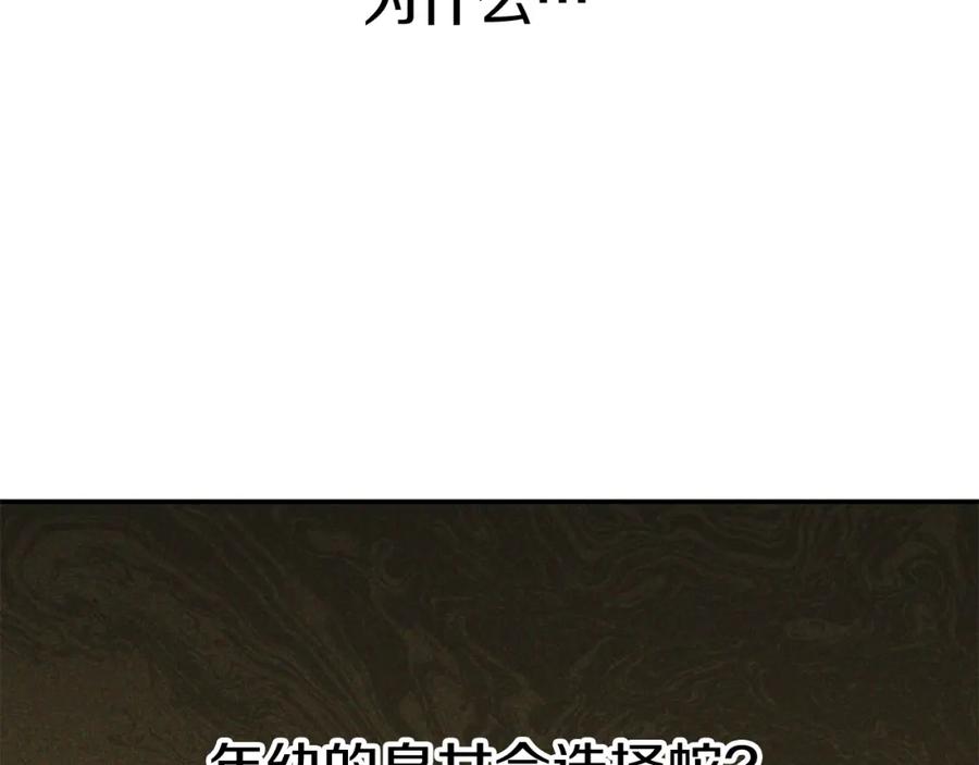 第260页