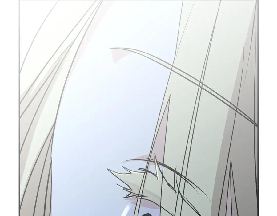 第342页