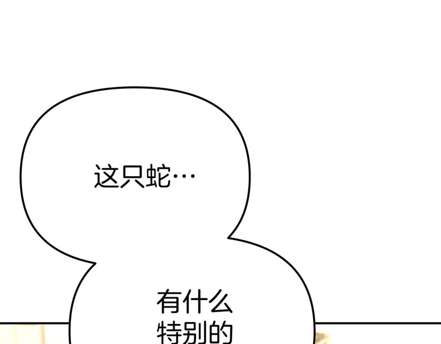 第262页