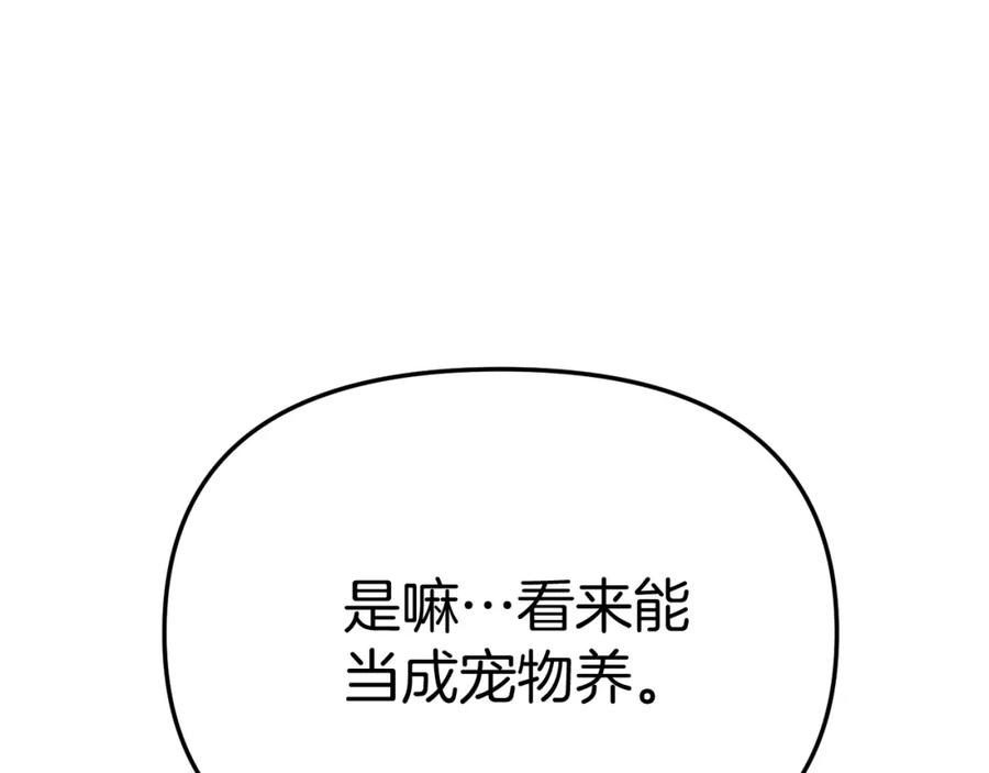 第266页
