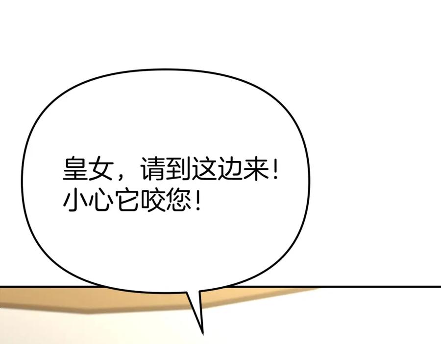 第278页