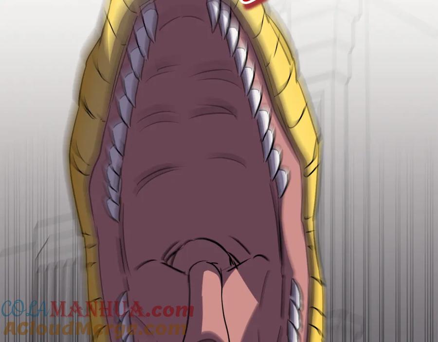 第348页
