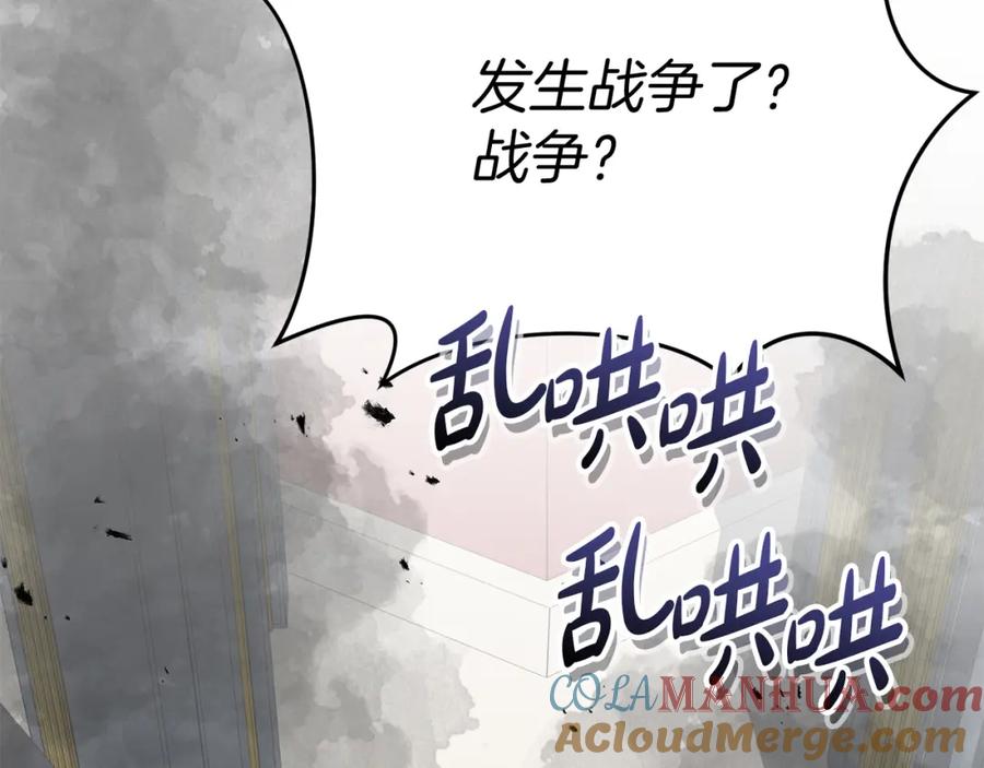 第233页