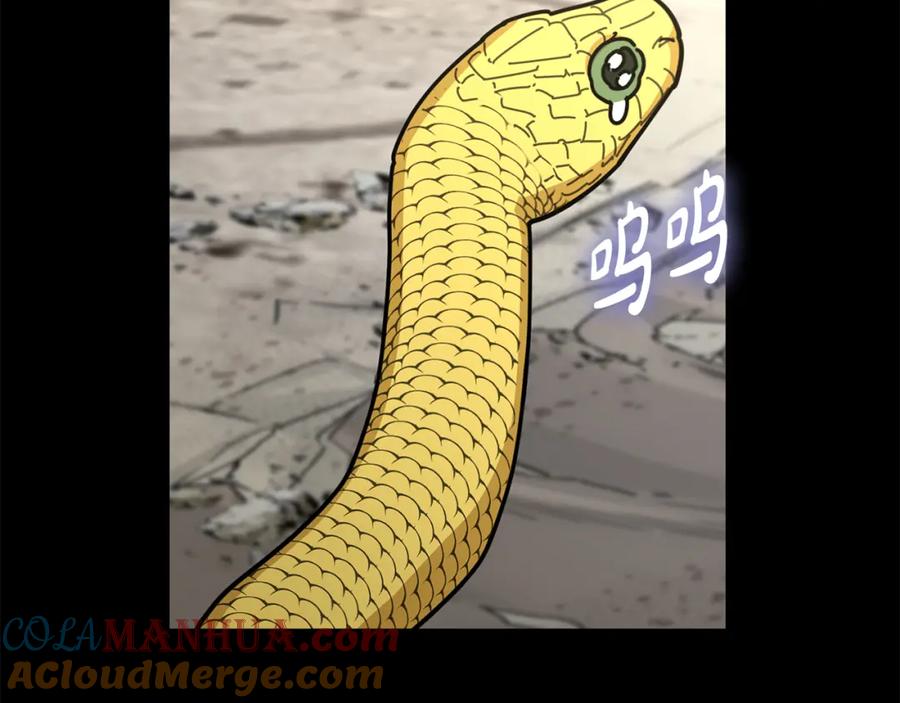 第217页