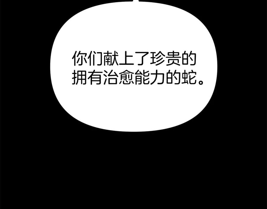 第244页