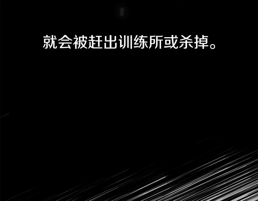 第206页