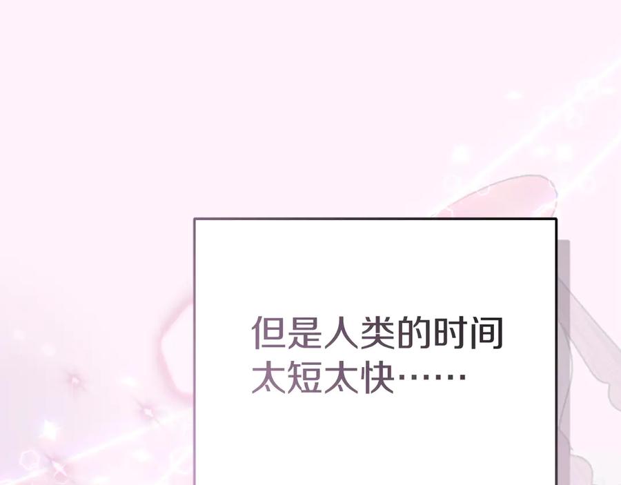 第232页