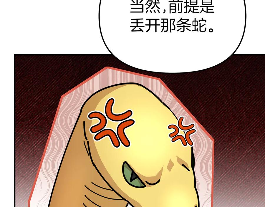 第234页