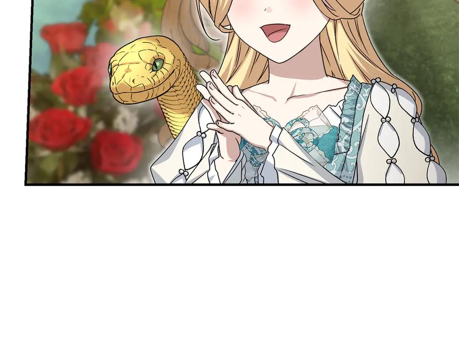第242页
