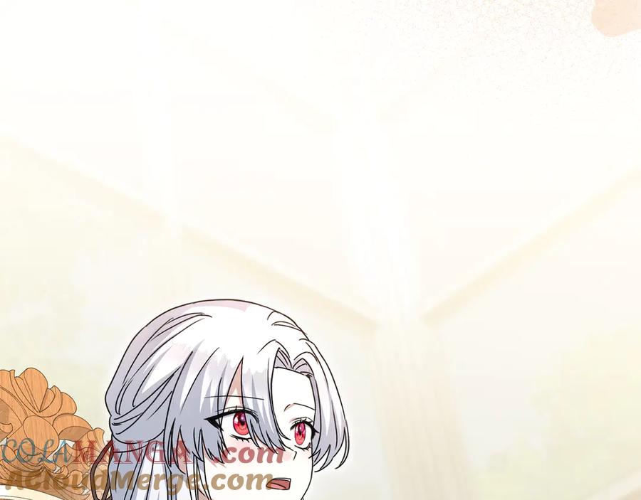 第245页