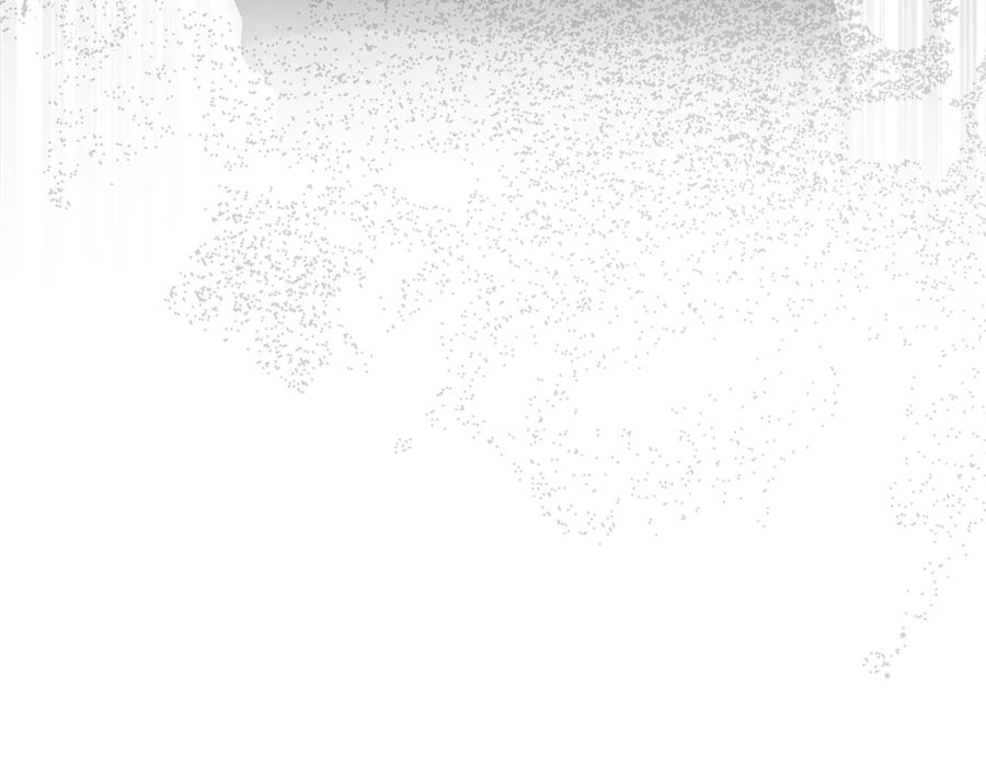 第244页