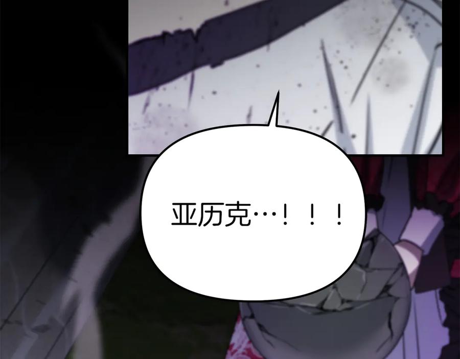 第217页