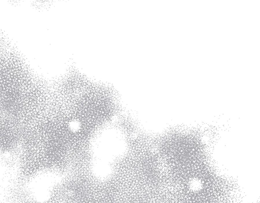 第229页