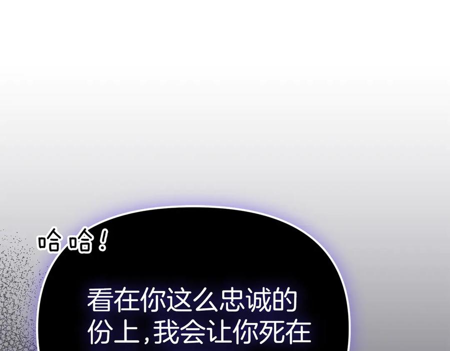 第238页
