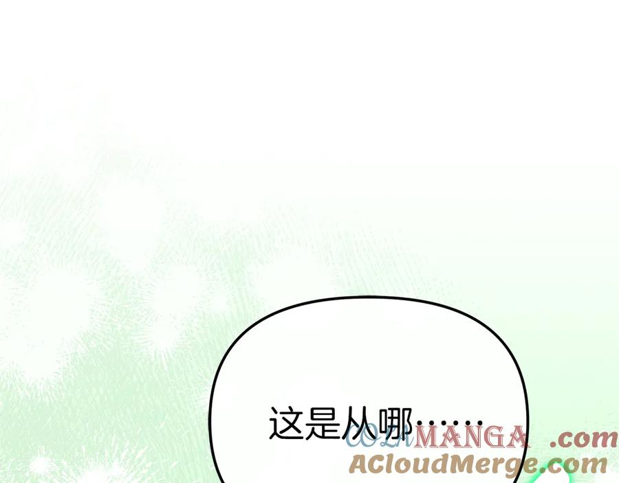 第260页