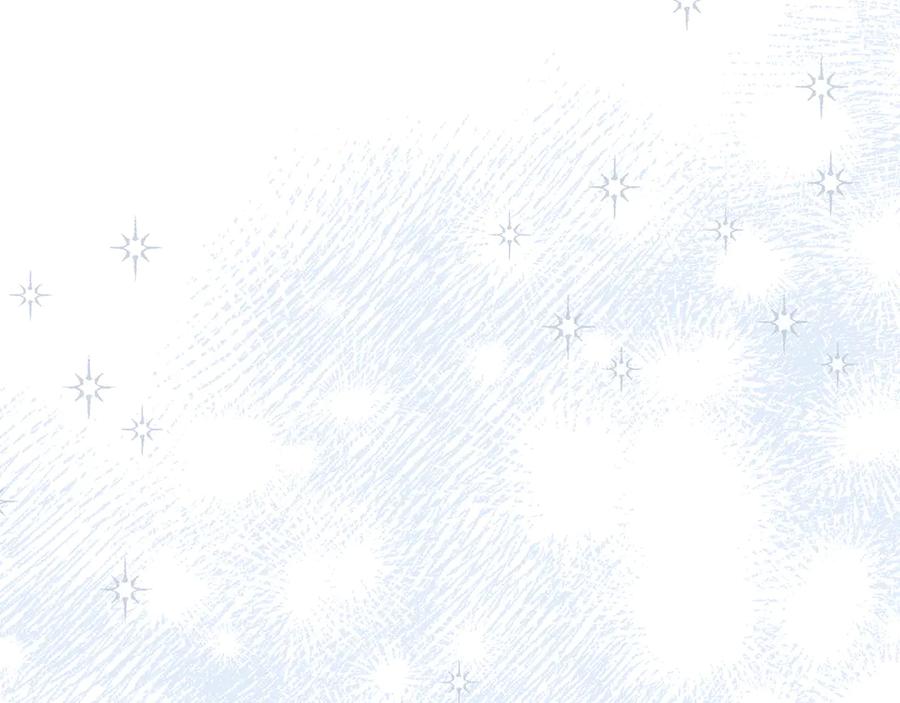 第242页