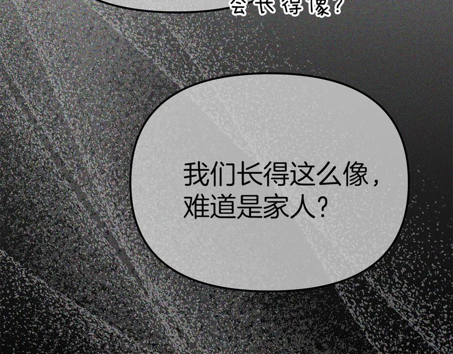 第223页