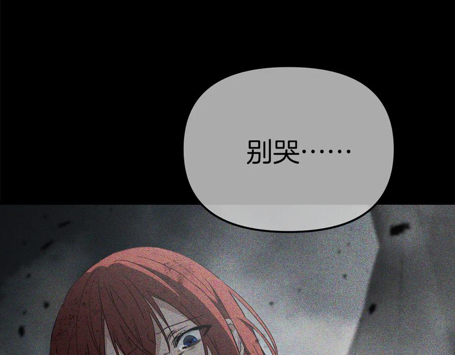 第234页