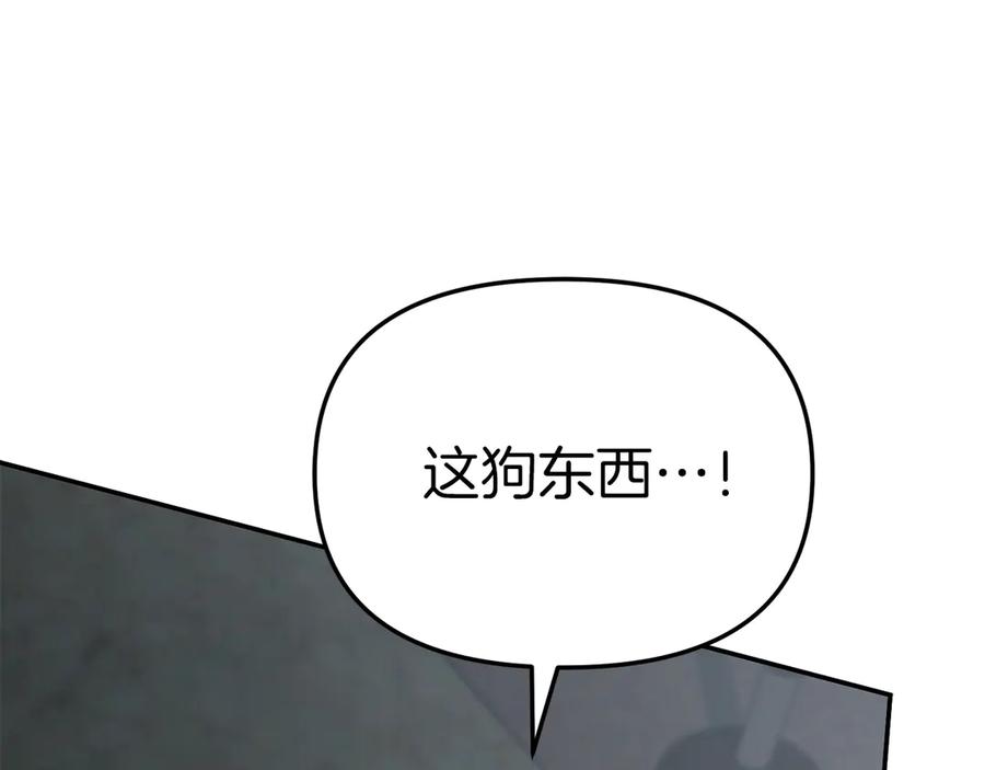 第215页