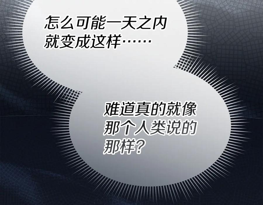 第223页