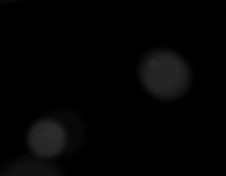 第191页