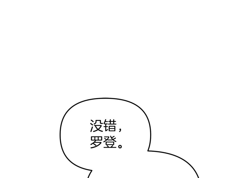 第223页