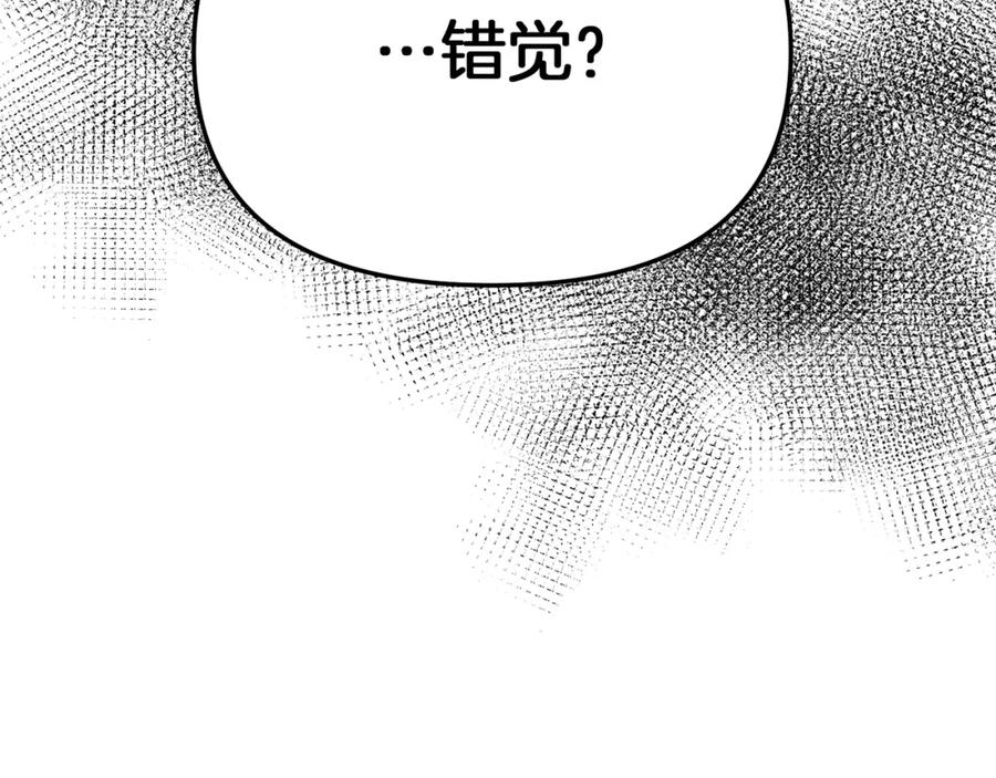 第254页