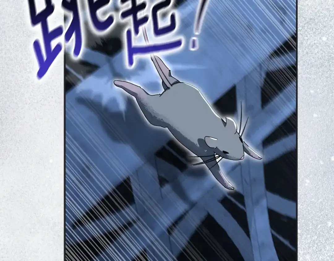 第509页