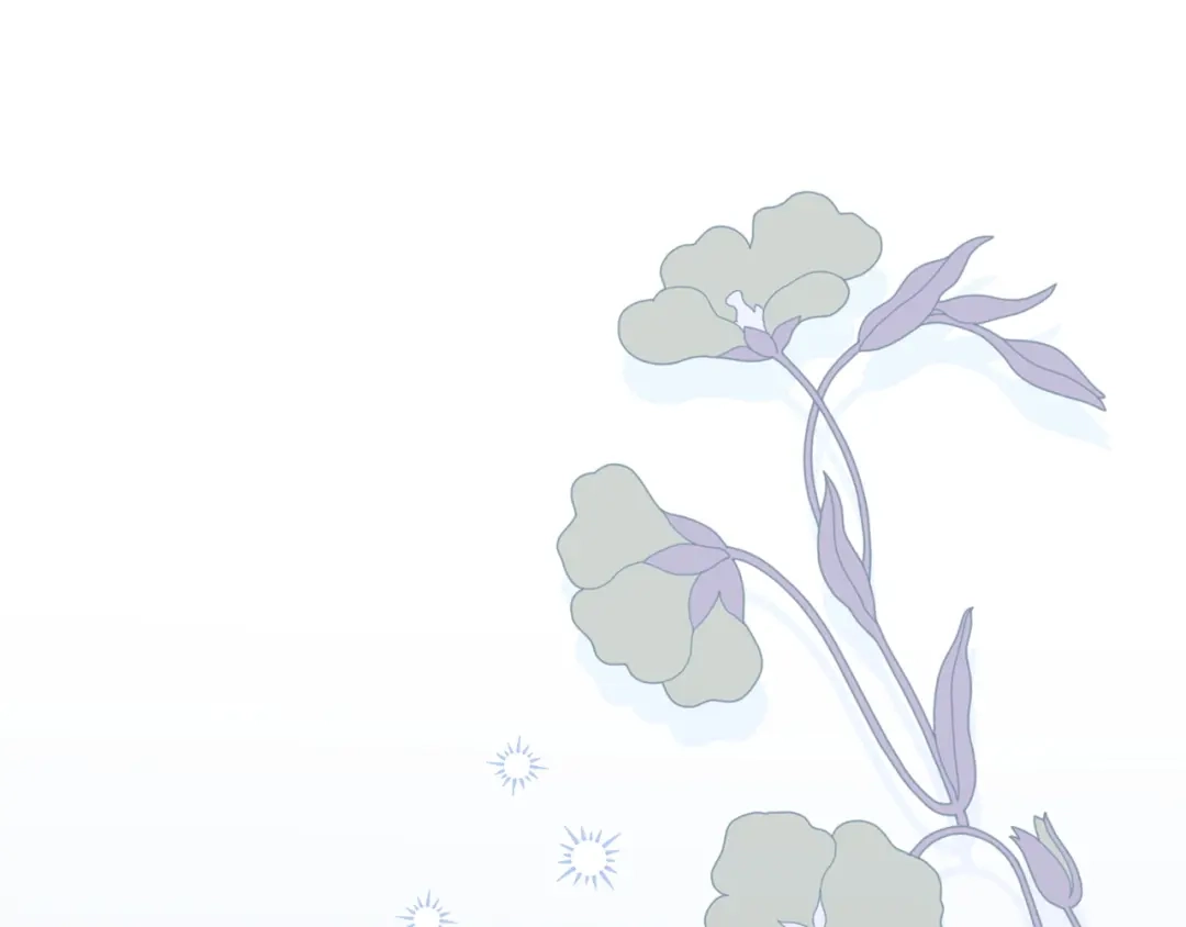 第517页