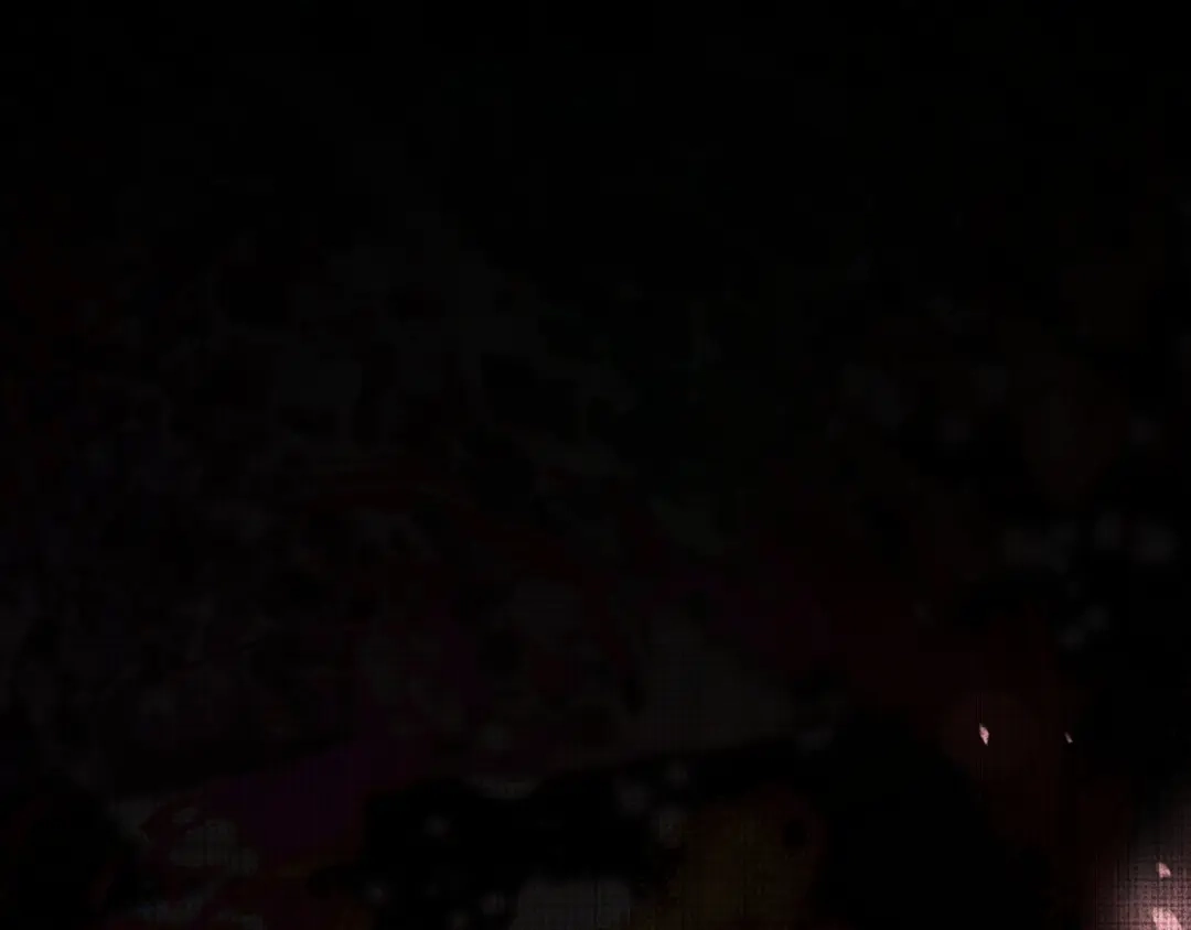 第185页
