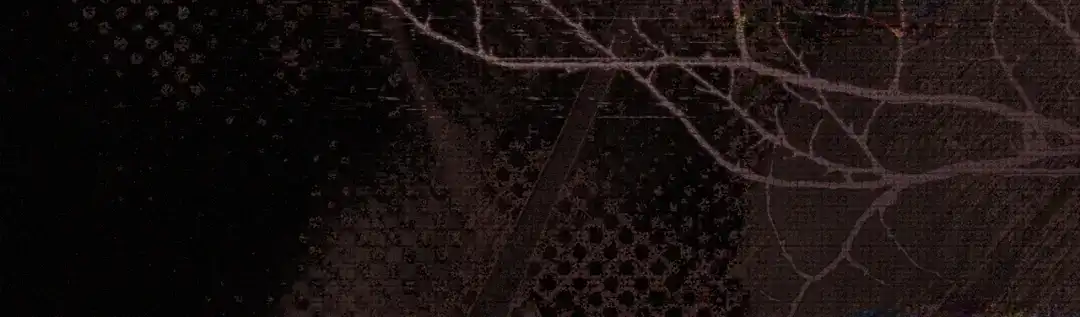 第248页