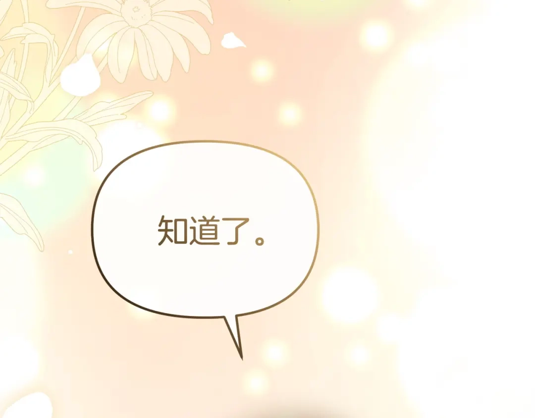 第504页