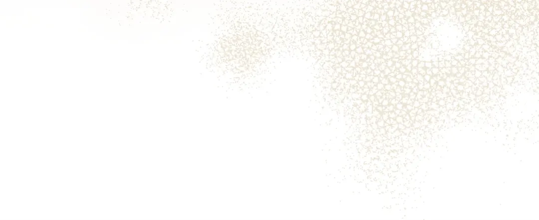 第538页