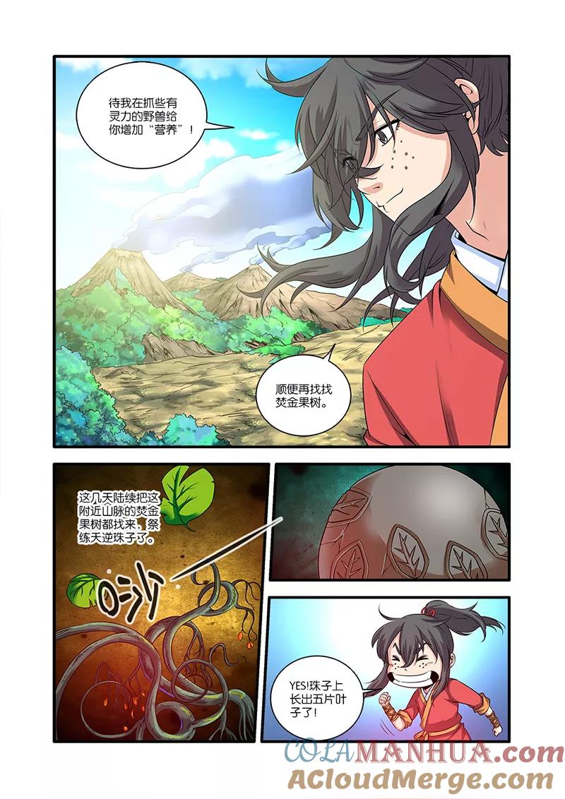 第3页