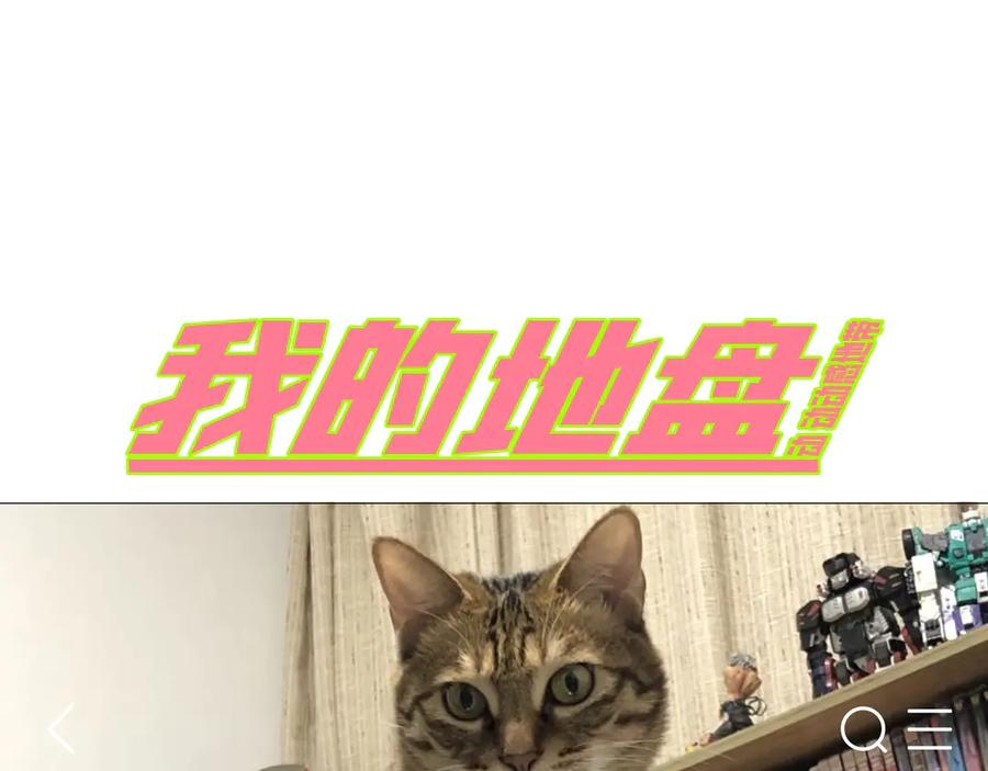 第178页